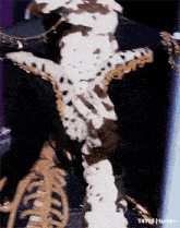 a person in a dalmatian costume is standing next to a skeleton ..
