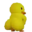 a yellow duck is standing on its hind legs and looking at the camera .