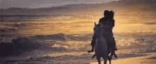 Horseback Riding Beach GIF - Horseback Riding Beach GIFs