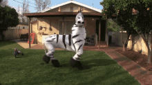 Kp09 Zebra Dance GIF - Kp09 Zebra Dance GIFs