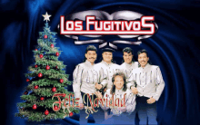 Los Fugitivos Triste Navidad GIF - Los Fugitivos Triste Navidad Tree GIFs