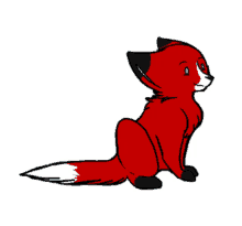 fox cute