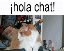 Cat Hello Chat GIF
