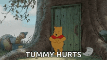 Winnie The Pooh Tummy GIF