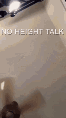 Height Ranboo GIF - Height Ranboo Talk GIFs