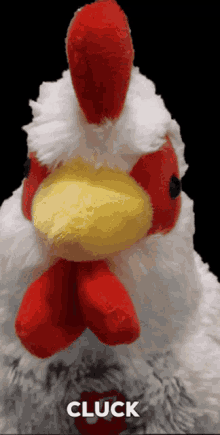 Chicken Kogosh GIF - Chicken Kogosh Cluck GIFs