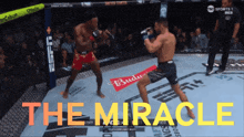 two men are fighting in a boxing ring with the words " the miracle " on the bottom