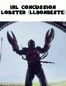 Beta64 Lobster GIF - Beta64 Lobster Concussion Lobster GIFs