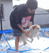 a girl in a black shirt with a pink penguin on it holds a small dog