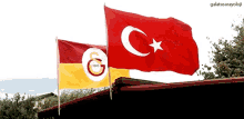 Galatasaray Bayrak GIF - Galatasaray Bayrak Süper Lig GIFs