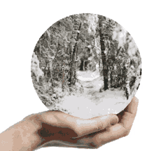 winter animated sticker snow