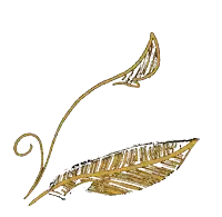 a drawing of a feather with a twisted stem