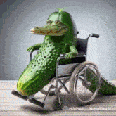 a picture of a crocodile sitting in a wheelchair