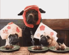 Dogs Eat GIF - Dogs Dog Eat GIFs