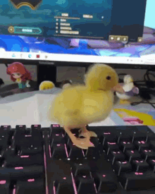 duck duckling duck distracting duck distraction duck keyboard
