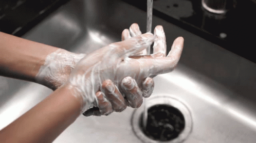 Wash Hands Wash Your Hands GIF - Wash Hands Wash Your Hands Hand Washing - Discover & Share GIFs