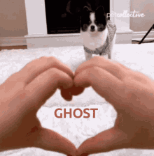 Dog Love GIF - Dog Love GIFs