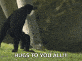 Hug Hugs GIF - Hug Hugs Monke GIFs
