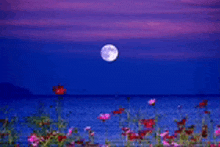 a full moon rises over a body of water with flowers in the foreground