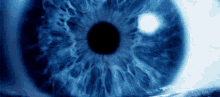 Blue Vampire Eye GIF - Blue Vampire Eye GIFs