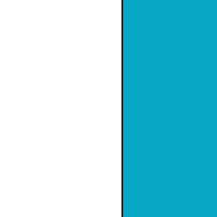 a blue and white penguin is peeking over a blue wall