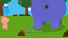 Elefante Elephant GIF - Elefante Elephant Poop GIFs