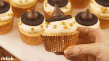 Cupcake Muffin GIF - Cupcake Muffin Bite GIFs