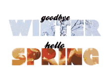 Hello Spring First Day Winter GIF - Hello Spring First Day Winter GIFs
