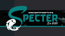 Specter Specter Esports GIF - Specter Specter Esports Ses GIFs