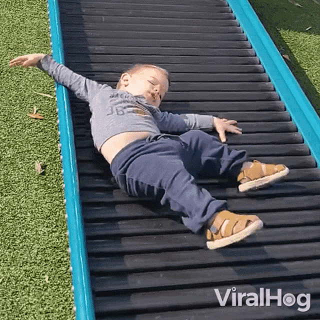 Slide Down Viralhog GIF