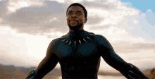 Wakanda Blackpanther GIF - Wakanda Blackpanther Chadwick GIFs