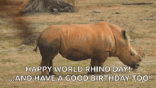 Eat Rhino Gets A Mud Bath Secrets Of The Zoo GIF - Eat Rhino Gets A Mud Bath Secrets Of The Zoo World Rhino Day GIFs