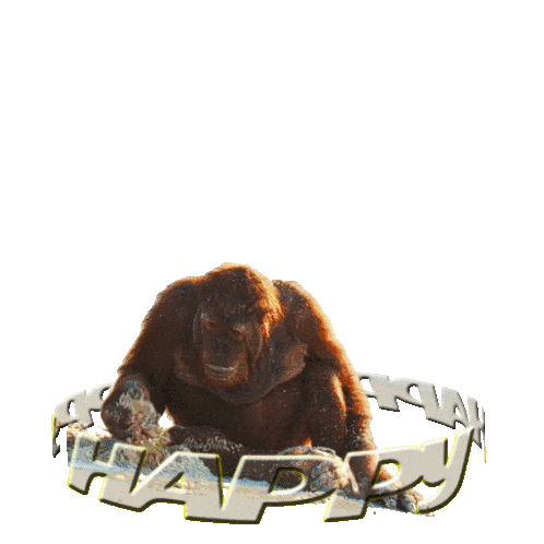 Happy Happy Monkey Sticker - Happy Happy Monkey Joke Stickers