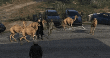 a group of camels are walking across a parking lot in a video game