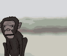 Sad Monkey GIF - Sad Monkey Frown GIFs