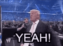 Donald Trump Yeah GIF - Donald Trump Yeah Excited GIFs
