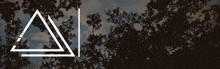 a logo for prism trgnl aesthetic server with a tree in the background