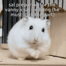 Sal Vanny GIF - Sal Vanny Hamster GIFs