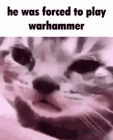 warhammer warhammer
