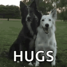 friend hug