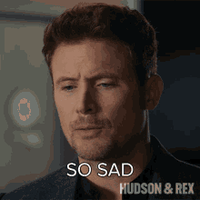 So Sad Charlie Hudson GIF - So Sad Charlie Hudson Hudson And Rex GIFs