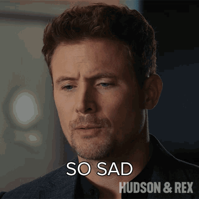 So Sad Charlie Hudson GIF So Sad Charlie Hudson Hudson And Rex