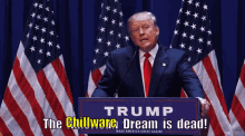 Chillware Trump GIF - Chillware Trump Okaycool GIFs
