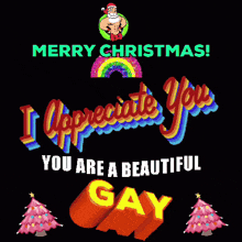 merry christmas i appreciate you you are beautiful gay