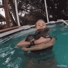 Viralhog Otters GIF - Viralhog Otters Hug GIFs