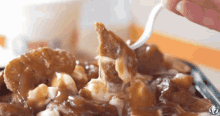 Mary Browns Tater Poutine GIF - Mary Browns Tater Poutine Mary Browns Chicken GIFs