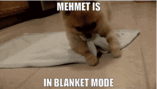 Mehmet Blanket GIF - Mehmet Blanket Mode GIFs