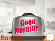 Good Morning Saqui GIF - Good Morning Saqui Saquinon GIFs