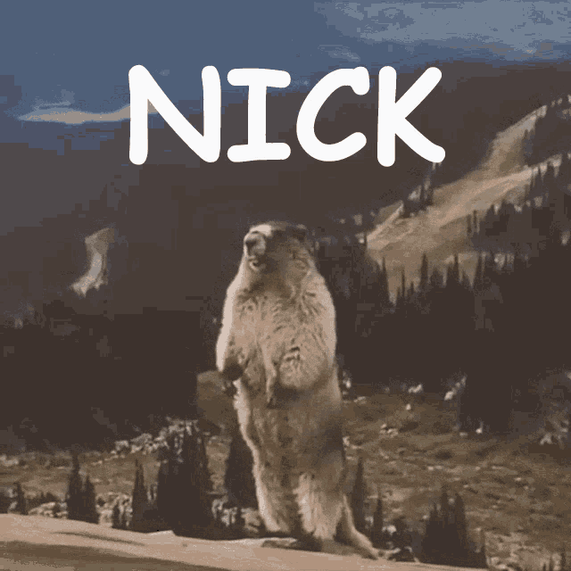 Nick Gopher GIF - Nick Gopher Yell GIFs