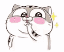 Ami Fat Cat Blush GIF - Ami Fat Cat Blush So Cute GIFs